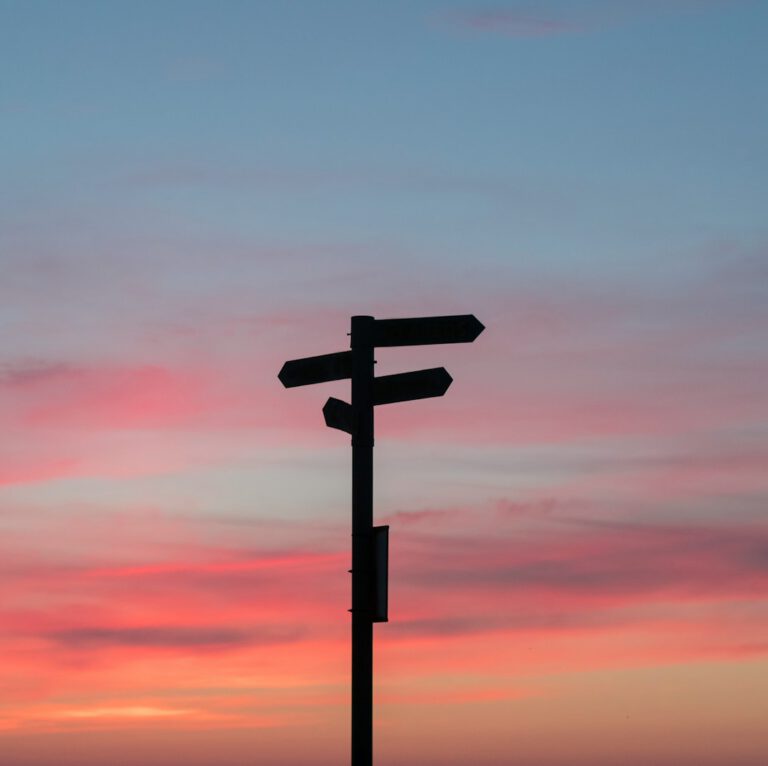 silhouette of road signage during golden hour